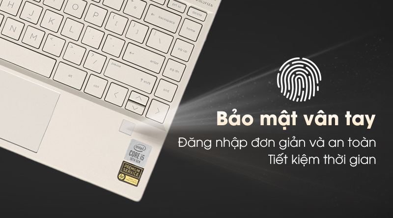 Laptop HP Envy 13 aq1021TU i5/10210U/8GB/256GB/Win10 (8QN79PA)