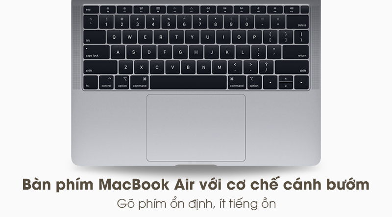 Laptop Apple MacBook Air 2019 i5 1.6GHz/8GB/256GB (MVFL2SA/A)