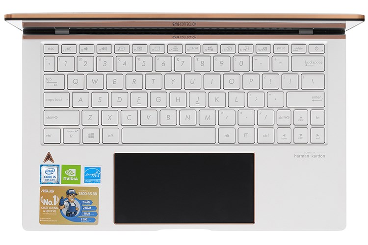 Laptop Asus ZenBook Edition 30 UX334FL i5 8265U/8GB/512GB/2GB MX250/Túi/Chuột/Win10 (A4053T) Màu Trắng