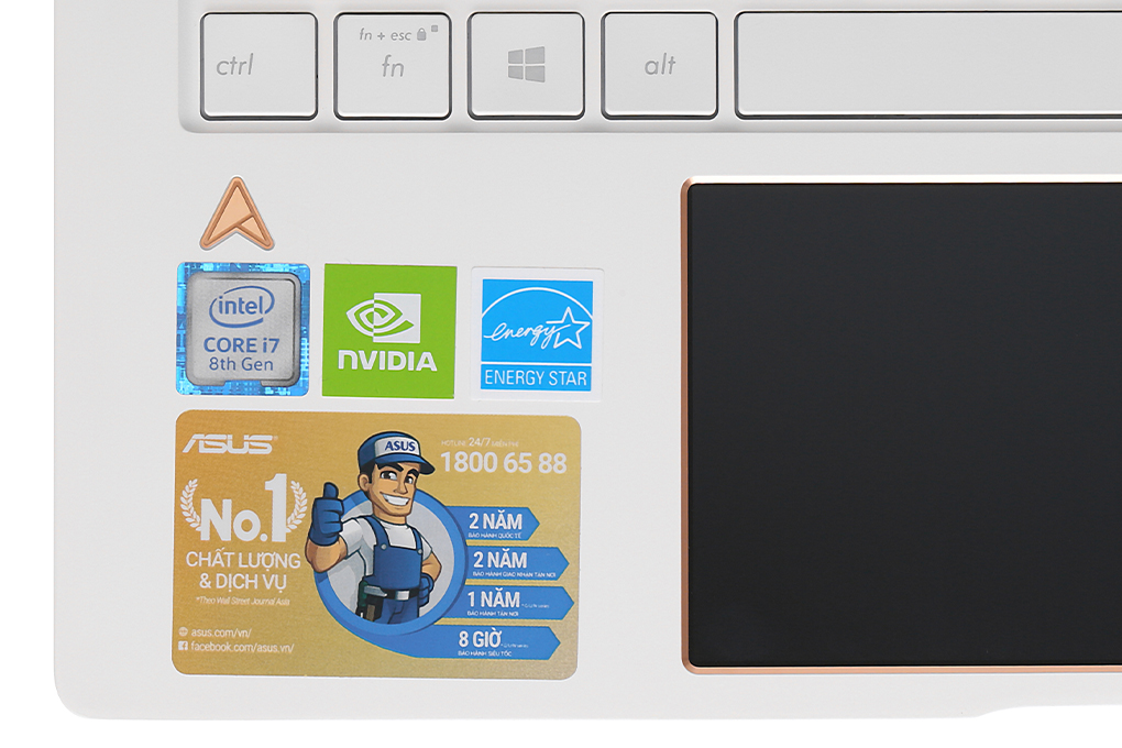 Laptop Asus ZenBook Edition 30 UX334FL i7 8565U/8GB/512GB/2GB MX250/Túi/Chuột/Win10 (A4057T) Màu Trắng