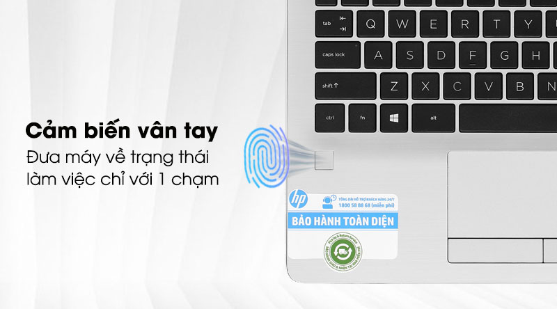 Laptop HP 348 G7 i3 8130U/4GB/512GB/Win10 (1A0Z1PA)