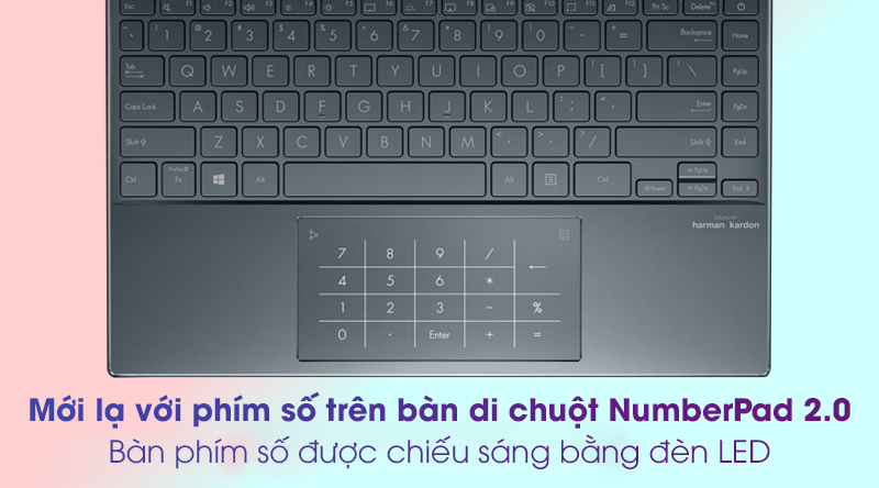 Laptop Asus ZenBook UX425JA i5 (BM076T) - NumberPad 2.0