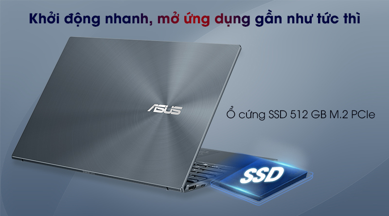 Asus ZenBook UX425EA i5 (BM069T) - SSD