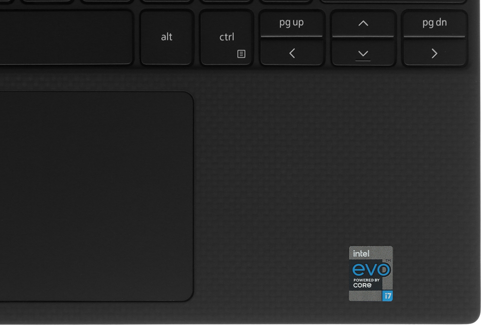 Laptop Dell XPS 13 9310 i7 1165G7/16GB/512GB/Touch/Pen/Win10 (JGNH61) Màu Bạc