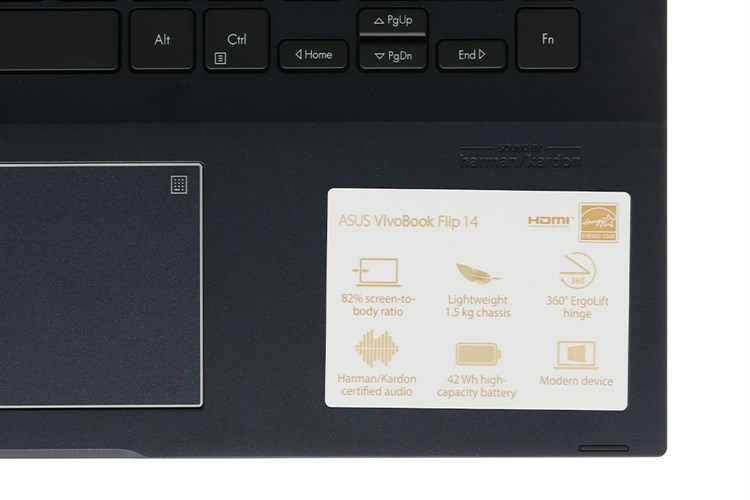 Laptop Asus VivoBook Flip TM420IA R3 4300U/4GB/256GB/Touch/Pen/Win10 (EC155T) Màu Đen