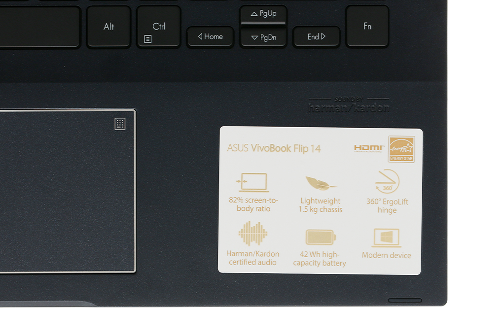 Laptop Asus VivoBook Flip TM420IA R3 4300U/4GB/256GB/Touch/Pen/Win10 (EC155T) Màu Đen