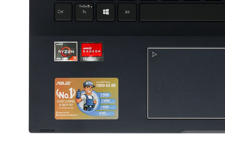 Laptop Asus VivoBook Flip TM420IA R3 4300U/4GB/256GB/Touch/Pen/Win10 (EC155T) Màu Đen