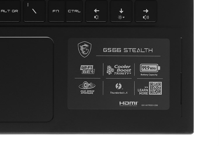Laptop MSI Gaming GS66 Stealth 11UG i7 11800H/32GB/2TB SSD/8GB RTX3070 Max-Q/360Hz/Balo/Chuột/Win10 (219VN) Màu Đen