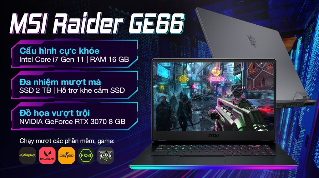 MSI Gaming GE66 Raider 11UG i7 11800H (258VN)