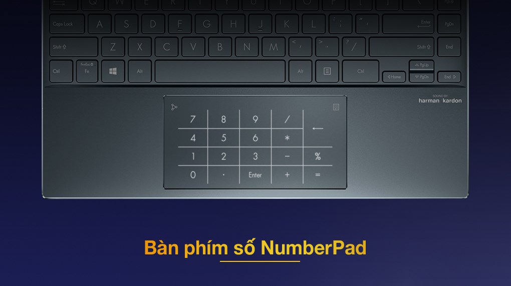 Laptop Asus ZenBook UX325EA i5 1135G7/8GB/512GB/OLED/Cáp/Túi/Win11 (KG538W)