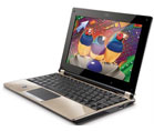 Laptop Viewsonic VNB131Sliver