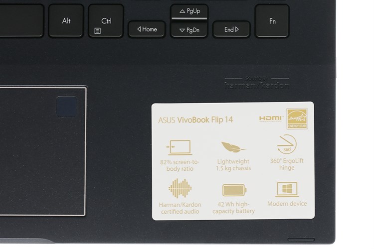 Laptop Asus VivoBook Flip 14 R7 TM420UA 5700U/8GB/512GB/Touch/Pen/Win11 (EC182W) Màu Đen