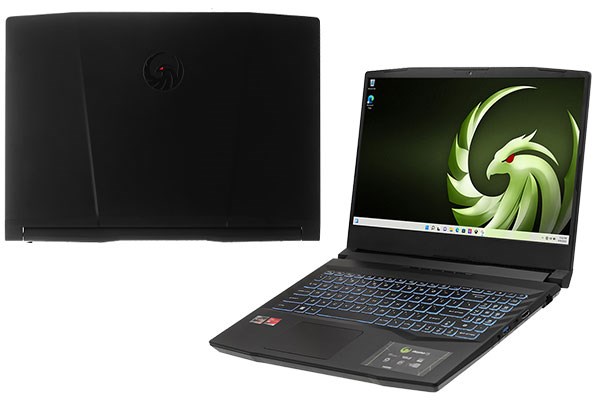 MSI Gaming Alpha 15 B5EEK R7 5800H