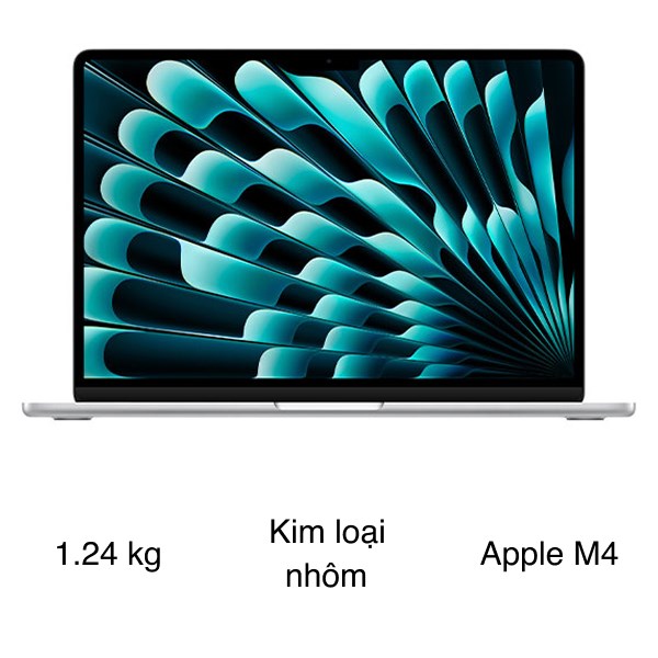Laptop MacBook Air 13 inch M4 16GB/1TB