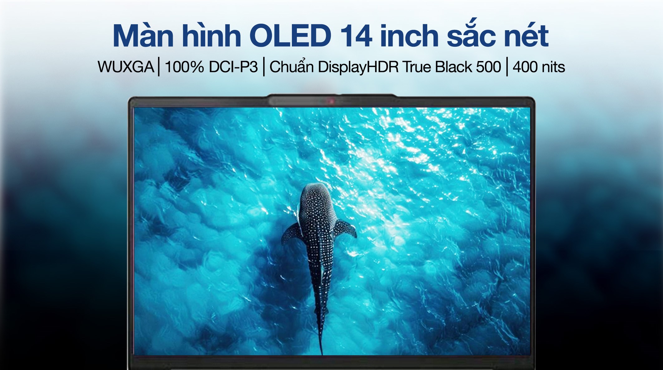 Laptop Lenovo IdeaPad Slim 5 OLED 14AKP10 - 83HX0066VN (R7 AI 350, 32GB, 512GB, WUXGA OLED, Win11)