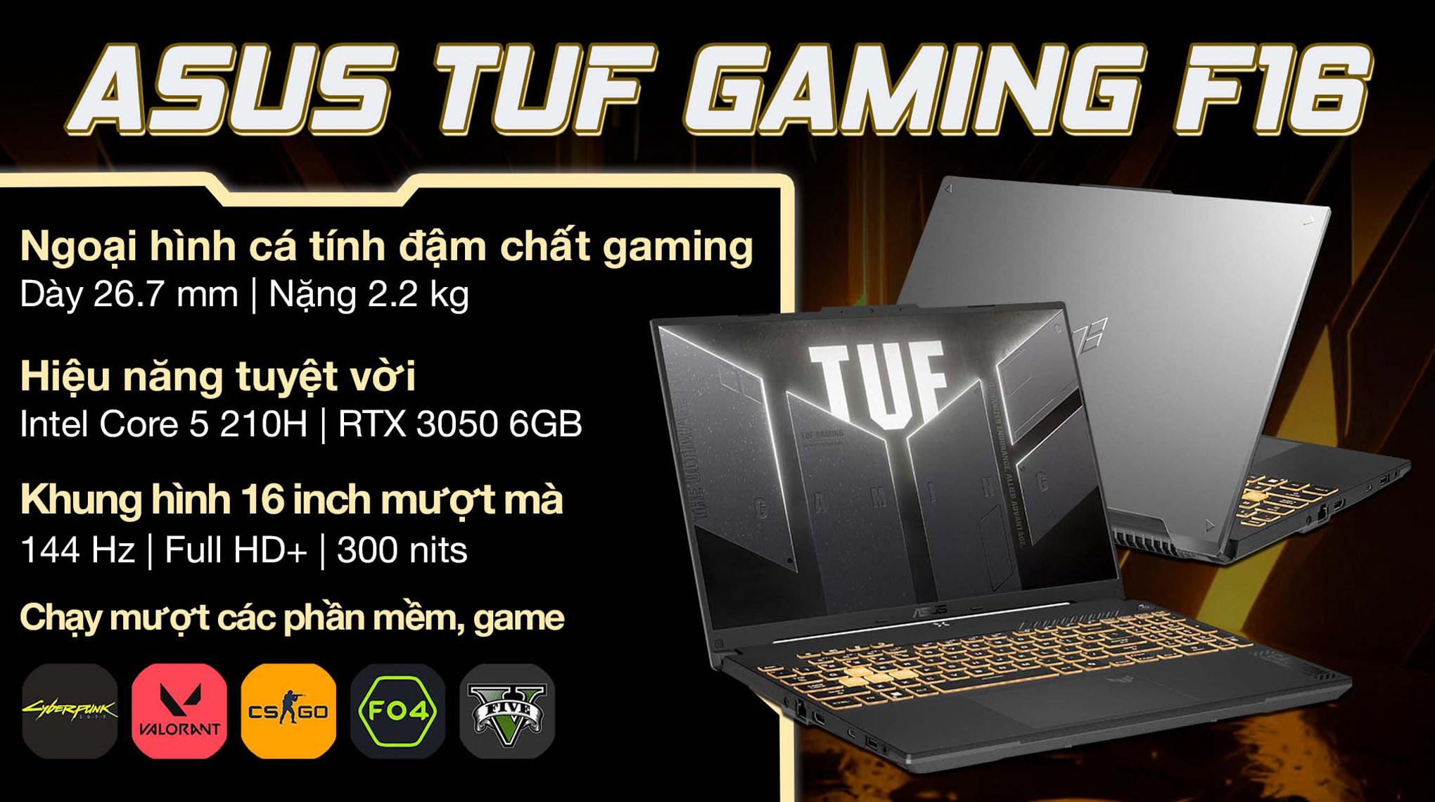 Laptop Asus TUF Gaming F16 FX607VJ - RL035W (Core 5 210H, 16GB, 512GB, RTX 3050 6GB, Full HD+ 144Hz, Win11)