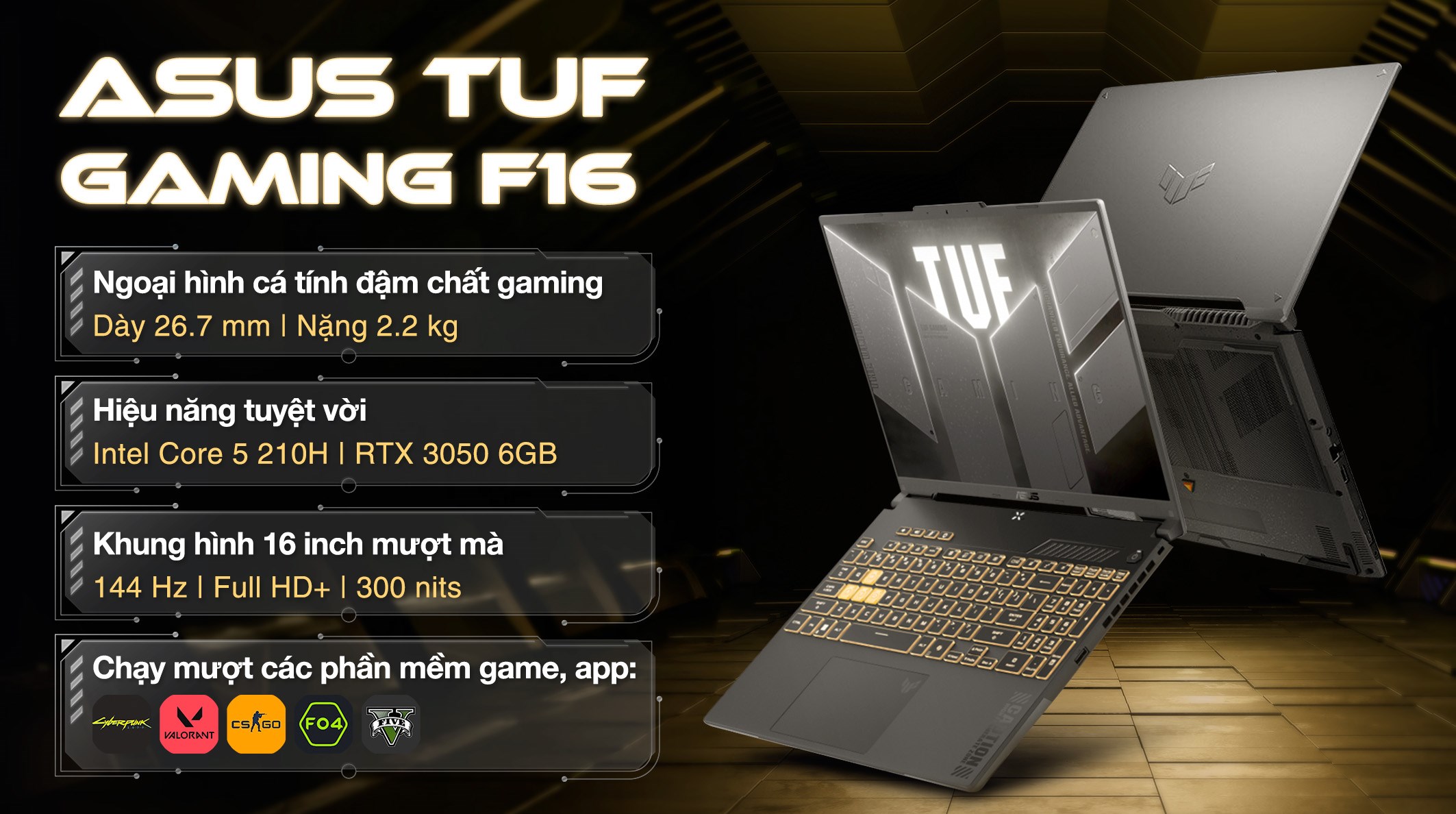 Laptop Asus TUF Gaming F16 FX607VJ - RL034W (Core 5 210H, 16GB, 512GB, RTX 3050 6GB, Full HD+ 144Hz, Win11)