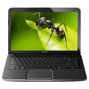 Laptop Toshiba Satellite C840 33112G50 (1020)