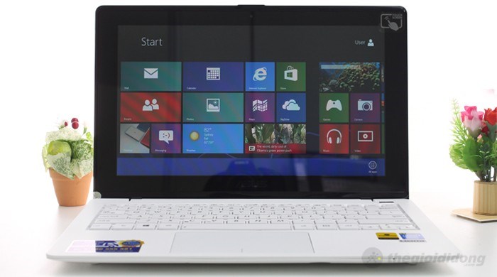 Laptop Asus X200CA 10072G50W8 Màu Trắng