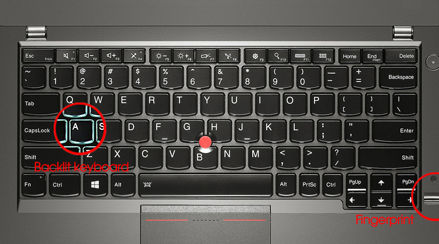 <p>L&agrave; d&ograve;ng m&aacute;y d&agrave;nh cho doanh nh&acirc;n, hỗ trợ nhiều chức năng hữu &iacute;ch cho văn ph&ograve;ng: B&agrave;n ph&iacute;m chống tr&agrave;n c&oacute; đ&egrave;n nền sử dụng ban đ&ecirc;m, N&uacute;t TrackPoint@ gi&uacute;p thao t&aacute;c nhanh như d&ugrave;ng chuột, C&ocirc;ng nghệ bảo mật dữ liệu bằng dấu v&acirc;n tay,...</p>