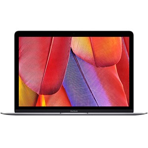 Apple Macbook 2015 12-inch | Thegioididong.com