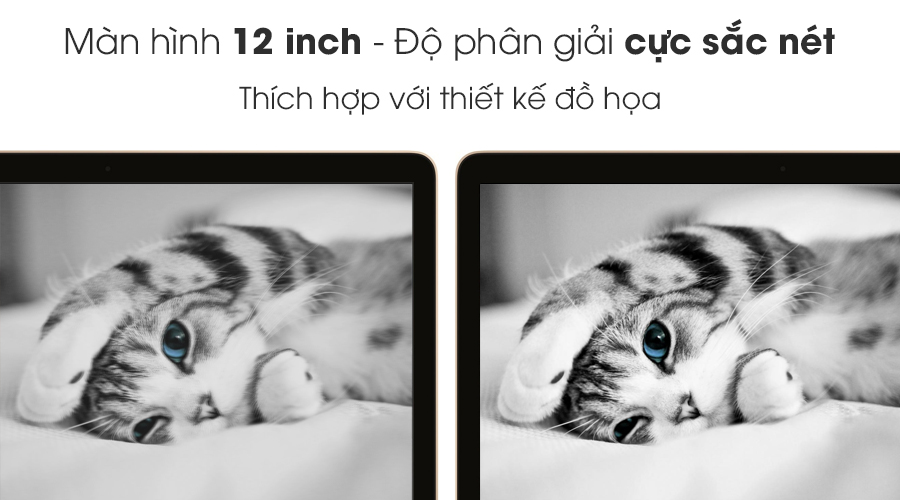 Laptop Apple Macbook 12" MMGL2 Core M 1.1GHz/8GB/256GB (2016)