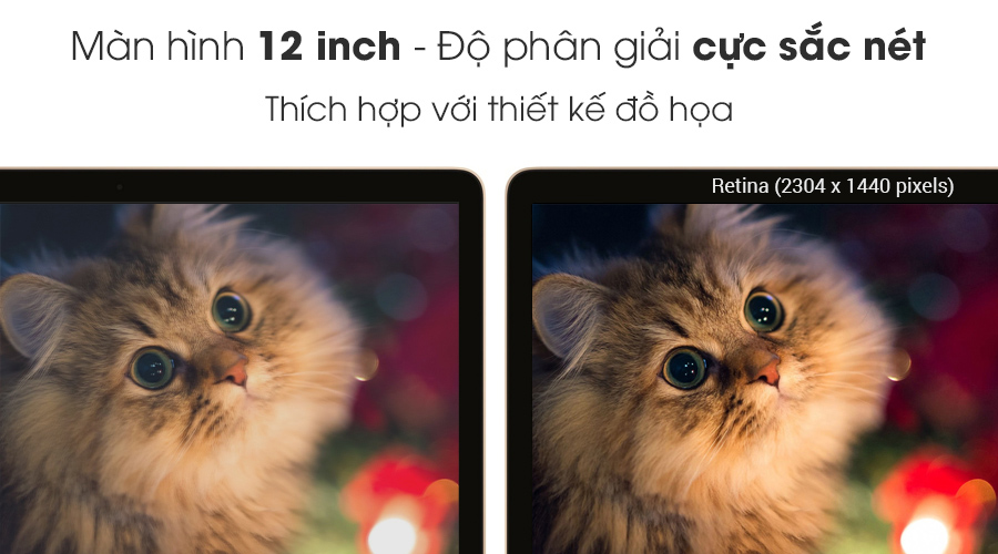 Laptop Apple Macbook 12" MLH72 Core M 1.1GHz/8GB/256GB (2016)