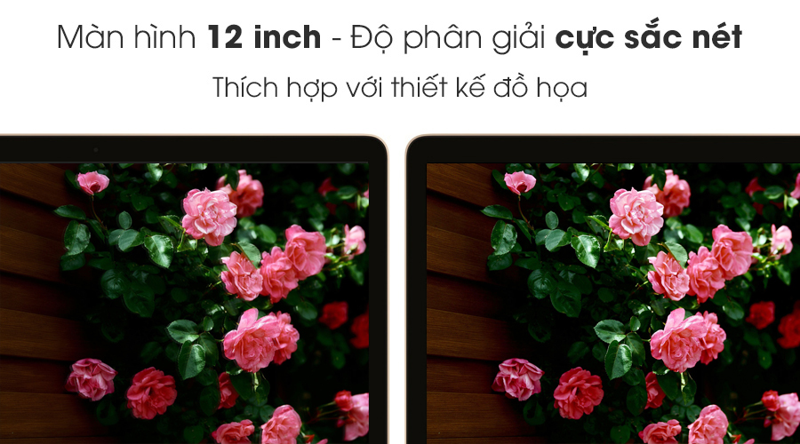 Laptop Apple Macbook 12" MLH82 Core M 1.2GHz/8GB/512GB (2016)