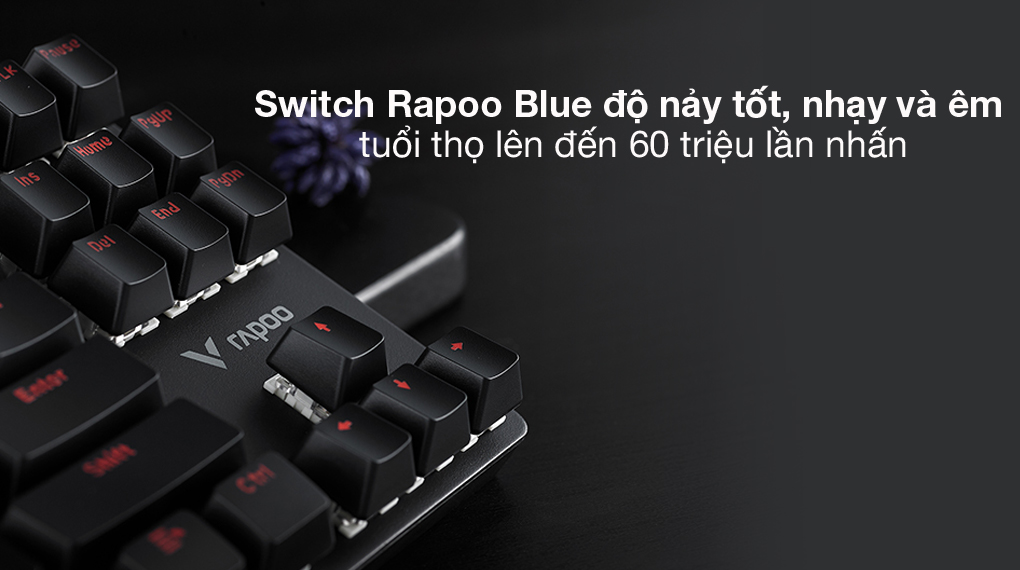 Switch Rapoo Blue bền bỉ - Bàn Phím Cơ Có Dây Gaming Rapoo V500alloy Đen