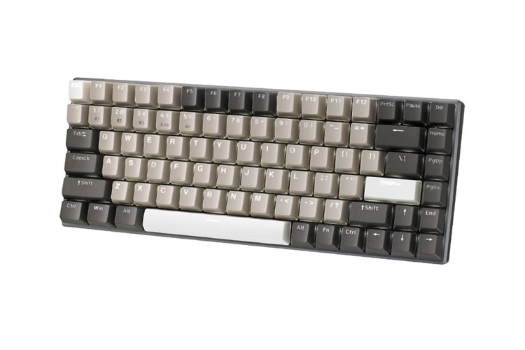 Bàn Phím Cơ Bluetooth Rapoo V700 - 8A Màu Trắng - Xám