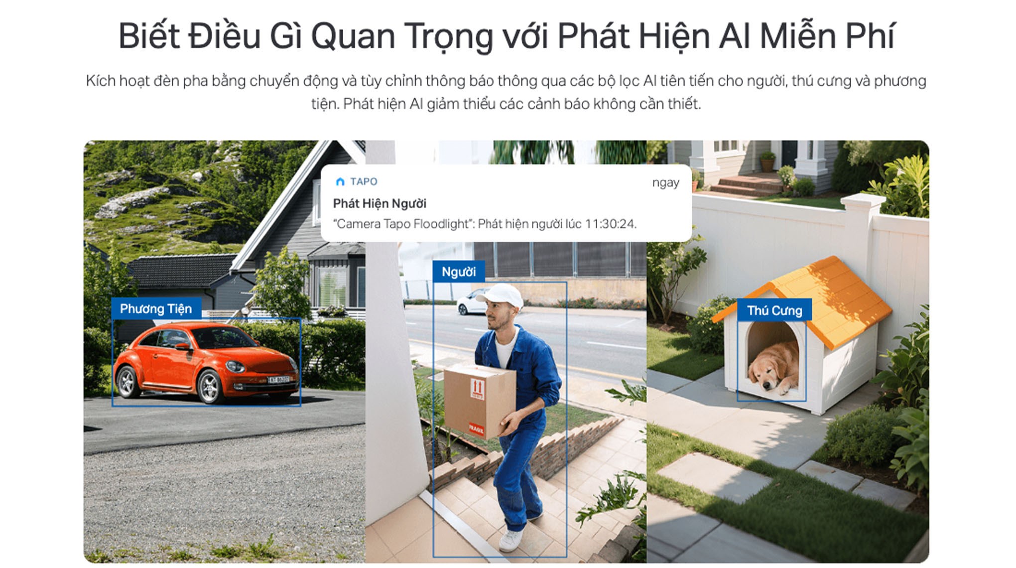 Camera IP Ngoài trời 360 Độ TP-Link Tapo C615F KIT