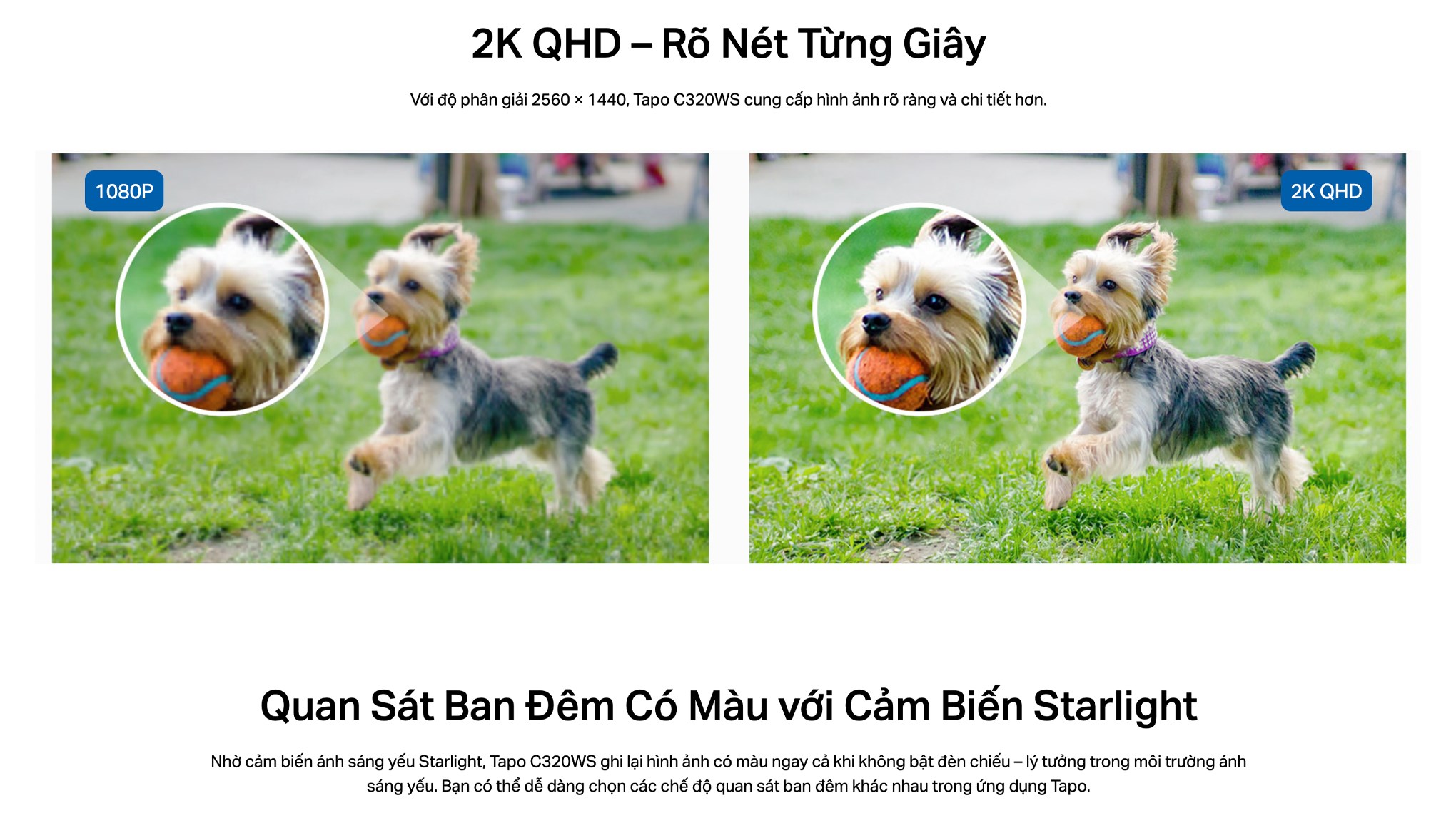 Camera IP Ngoài trời TP-Link Tapo C320WS