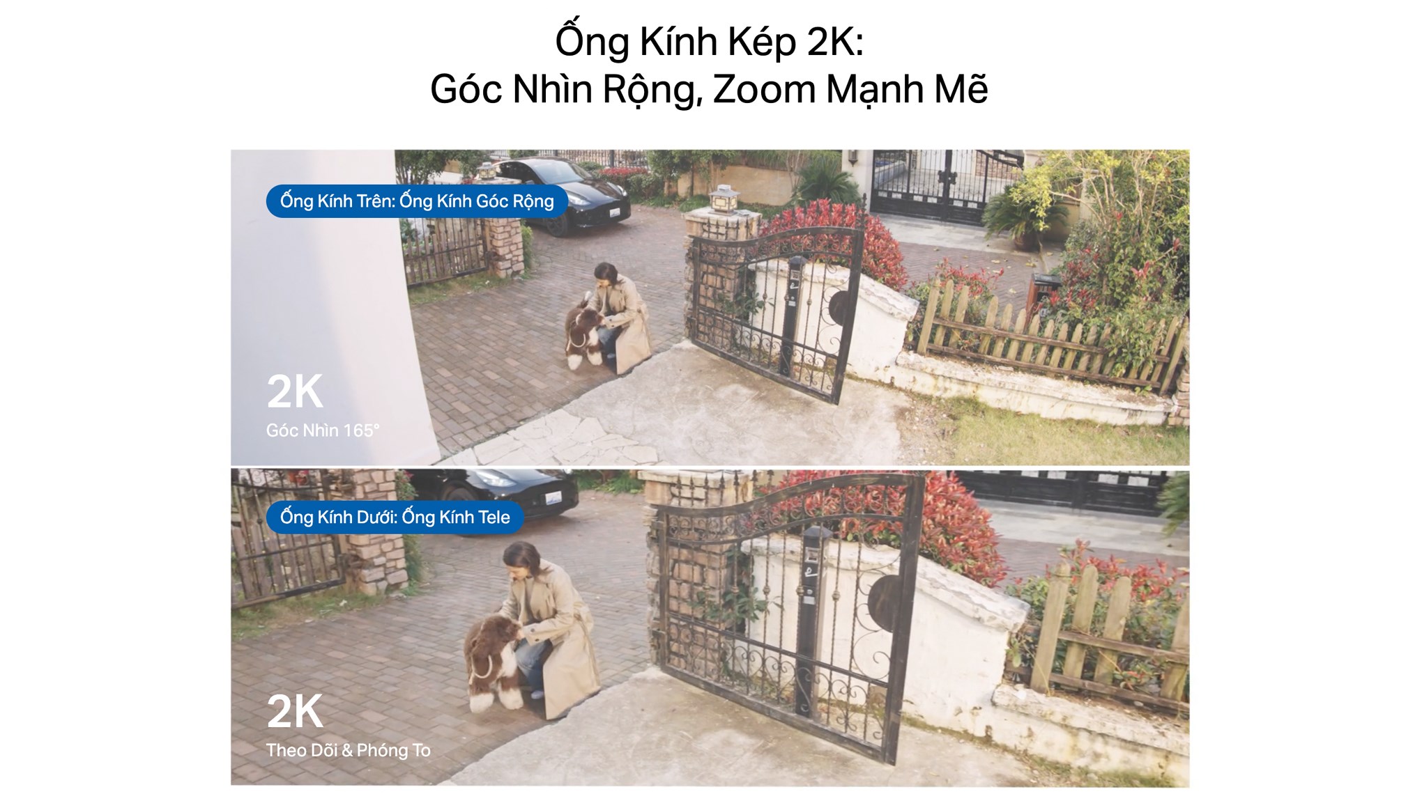 Camera IP Ngoài trời 360 Độ TP-Link Tapo C545D