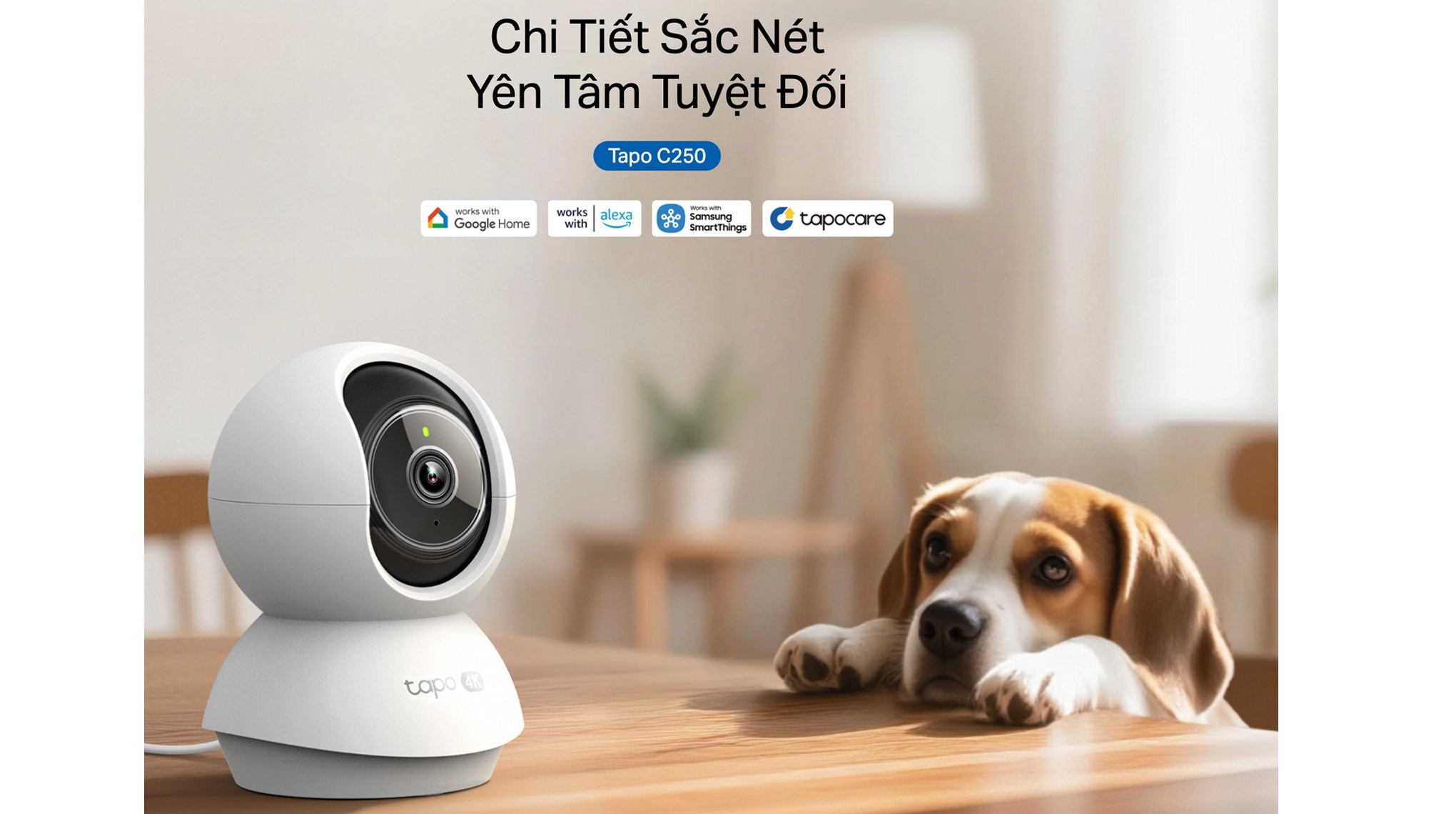 Camera IP 360 Độ TP-Link Tapo C250