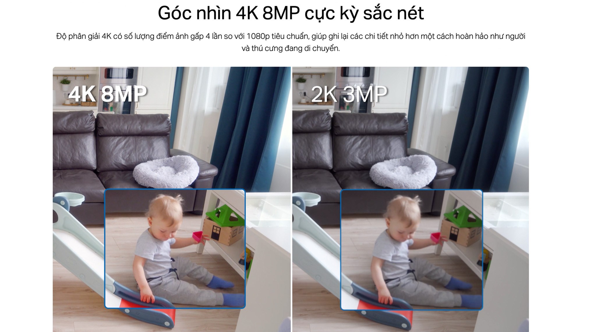 Camera IP 360 Độ TP-Link Tapo C250