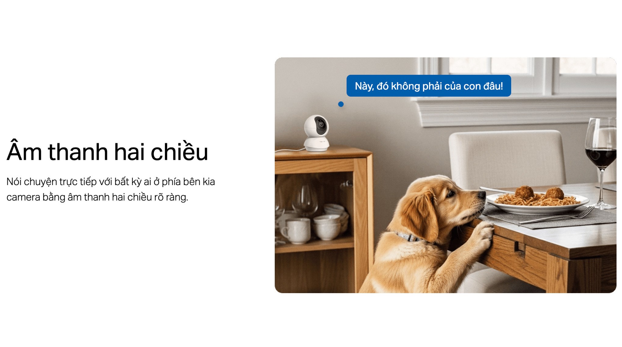 Camera IP 360 Độ TP-Link Tapo C250