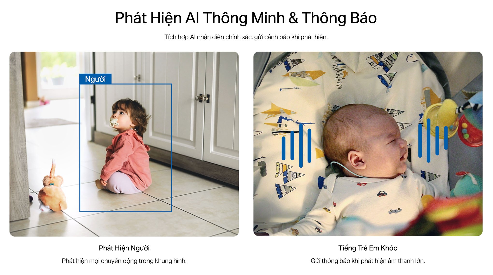 Camera IP Ngoài trời 360 Độ TP-Link Tapo C206