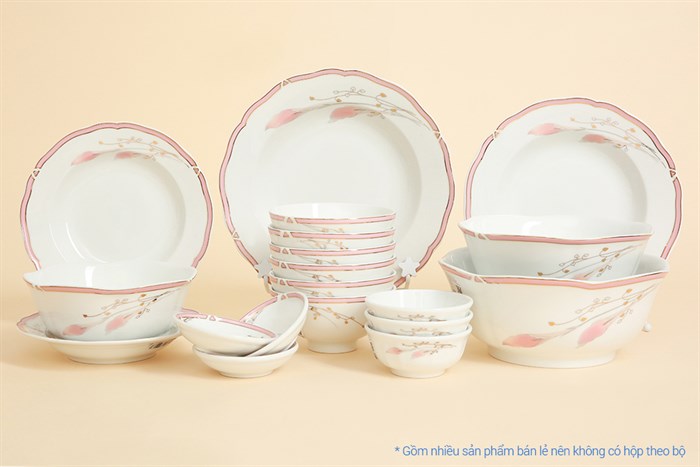 Bộ tô chén đĩa gốm sứ CK 19 món CK01