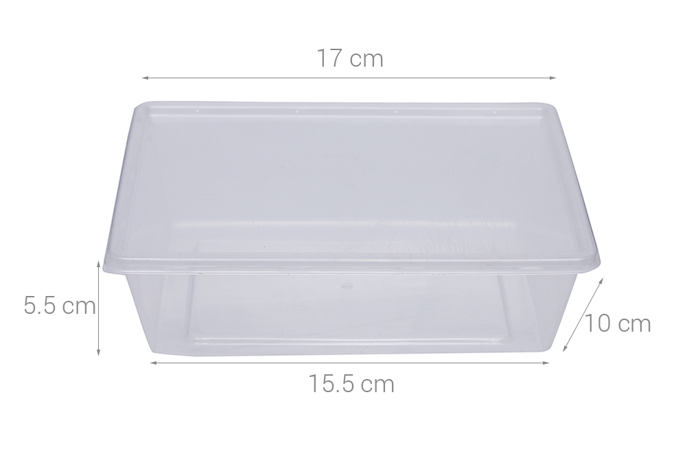 Bộ 10 hộp đựng thực phẩm nhựa 650 ml DMX - H10-01