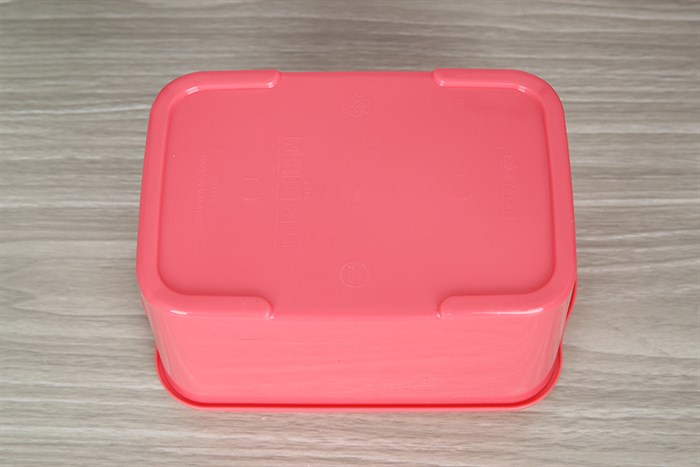 Hộp đựng thực phẩm nhựa 2500 ml Delites E-1116 Màu Hồng