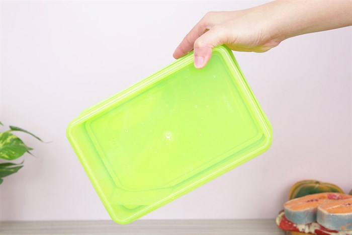 Hộp đựng thực phẩm nhựa 2800 ml Delites E-1395 Màu Xanh lá