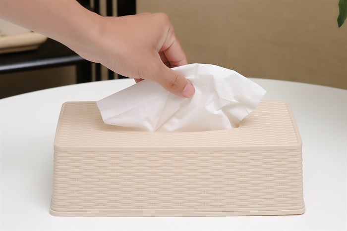 Hộp đựng giấy nhựa 24.7 x 12.5 x 7.5 cm BHX TN-916092 Màu Trắng