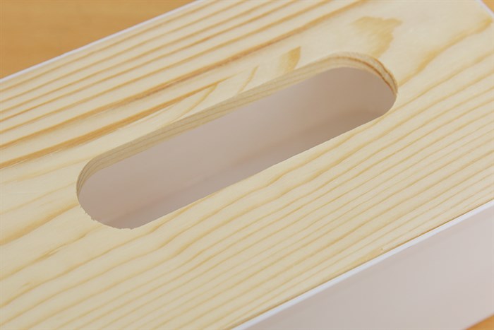 Hộp đựng giấy nhựa 22 x 13 x 9.5 cm BHX SC-TB7001 Màu Trắng