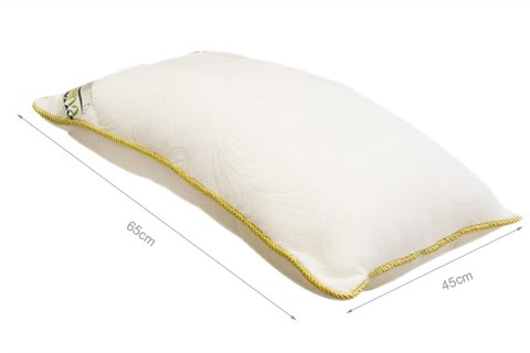 Ruột gối Deluxe 45 x 65 cm Edena RGD