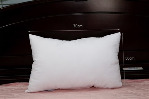 Ruột gối ép hơi polyester 50x70cm Thắng Lợi