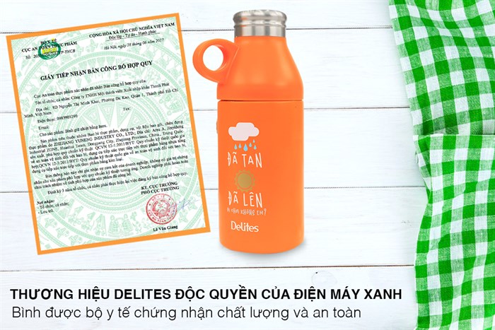 Bình giữ nhiệt inox 300 ml Delites QE-0036
