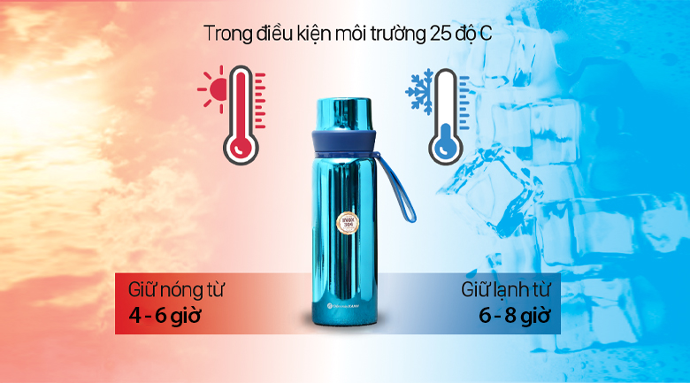 Bình giữ nhiệt inox 520 ml DMX Z69