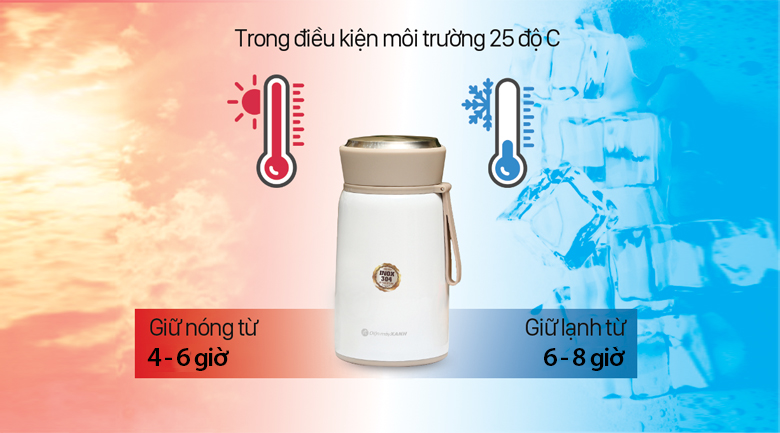 Bình đựng thức ăn giữ nhiệt inox 800 ml DMX FH25