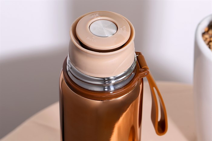 Bình giữ nhiệt inox 520 ml Delites Z69A Màu Vàng