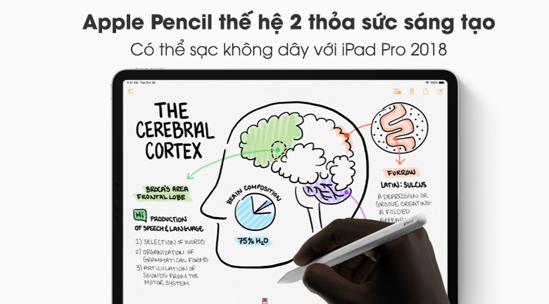 Máy tính bảng iPad Pro 11 inch Wifi Cellular 64GB (2018)